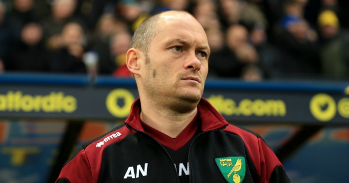 Alex Neil: Says Norwich's survival chances depend on next five games