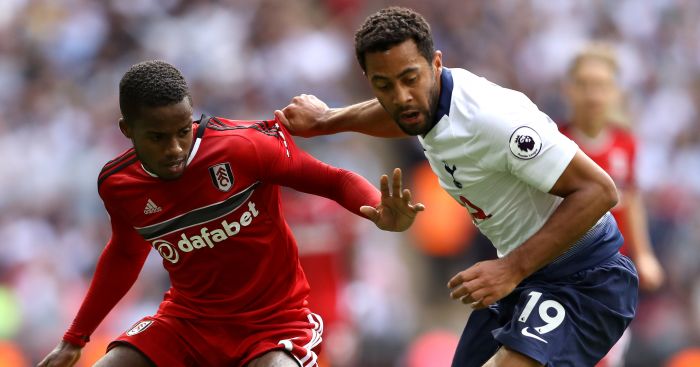 Mousa Dembele TEAMtalk