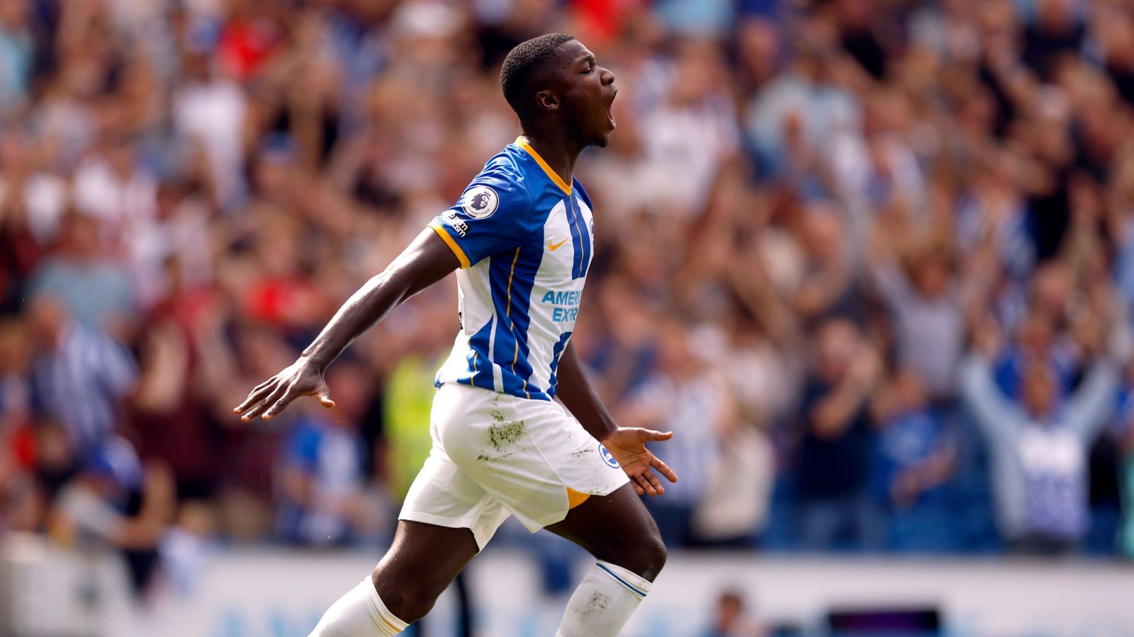 Moises Caicedo Brighton September 2022