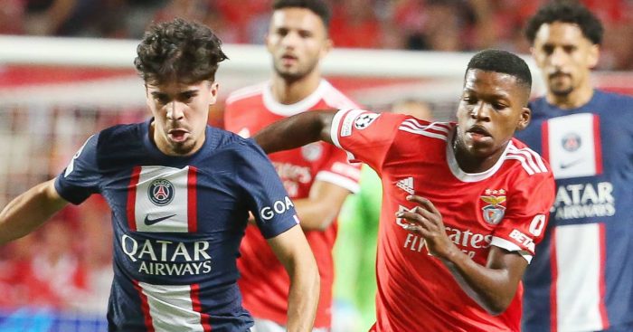 PSV Vitinha Benfica Florentino Luis