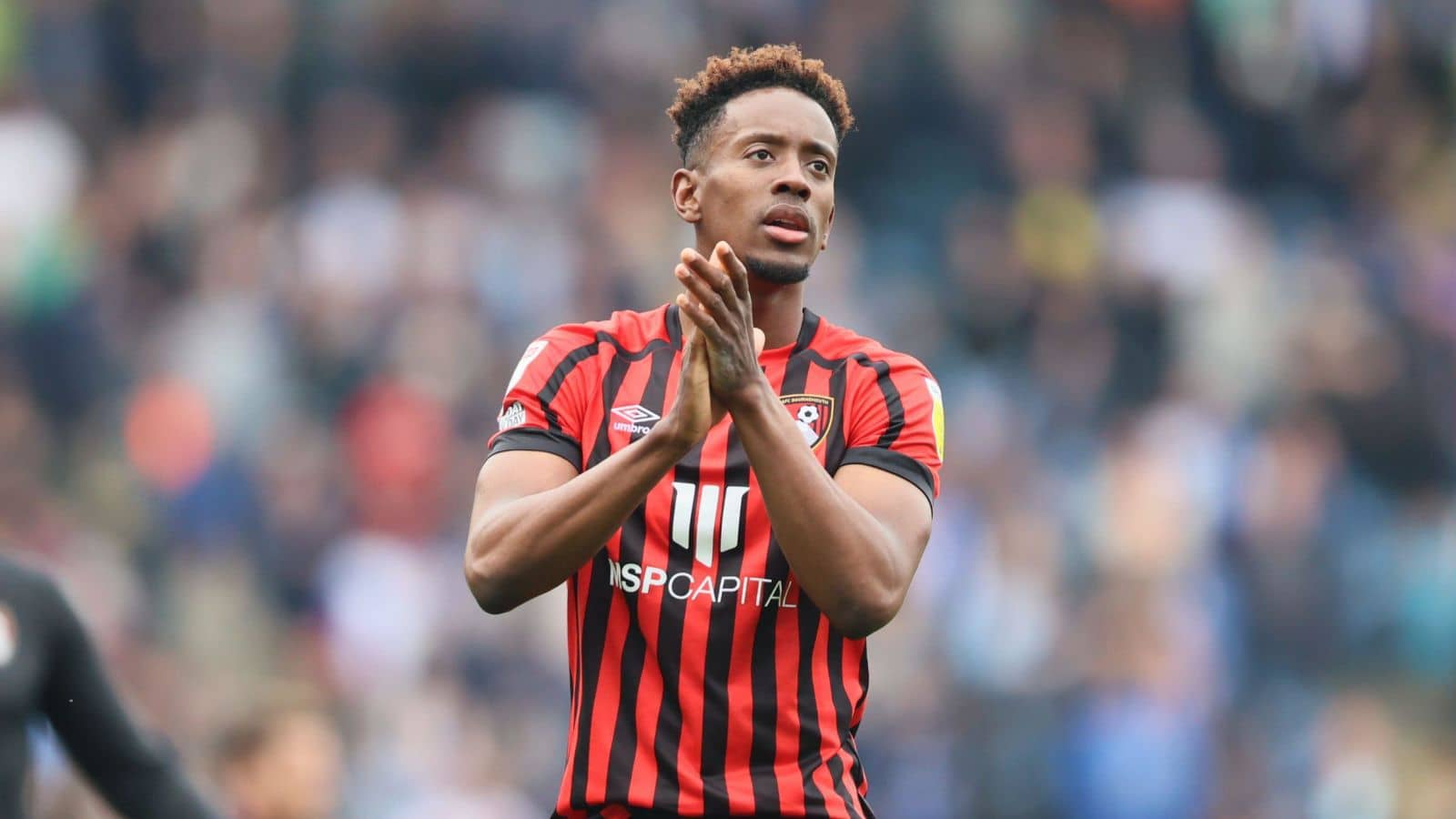 Jamal Lowe Bournemouth Jamal Lowe Bournemouth