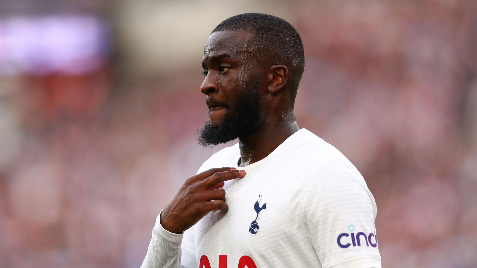 Tottenham transfers: Three clubs want mega-money star Levy and Postecoglou have ruthlessly booted out - TEAMtalk