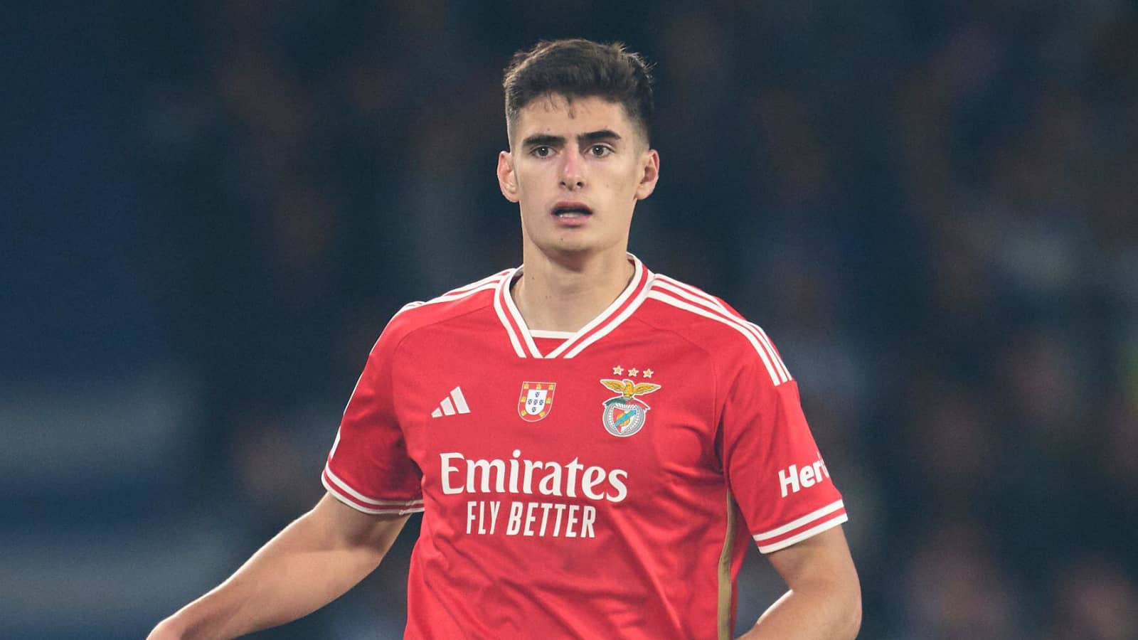 Antonio Silva, Benfica, November 2023