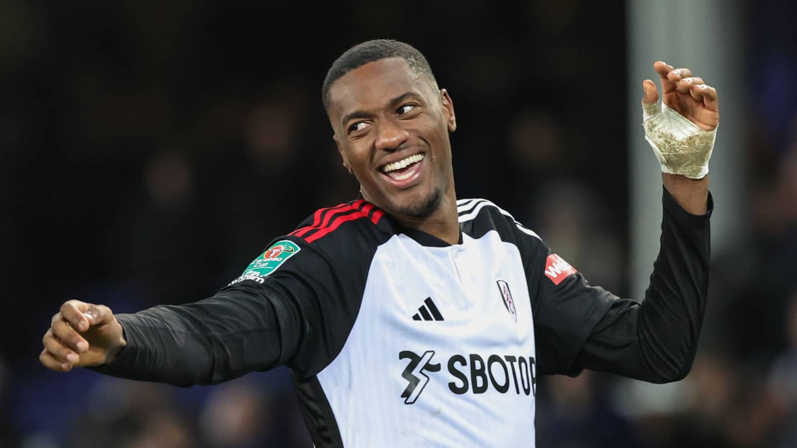 Fulham centre-back Tosin Adarabioyo