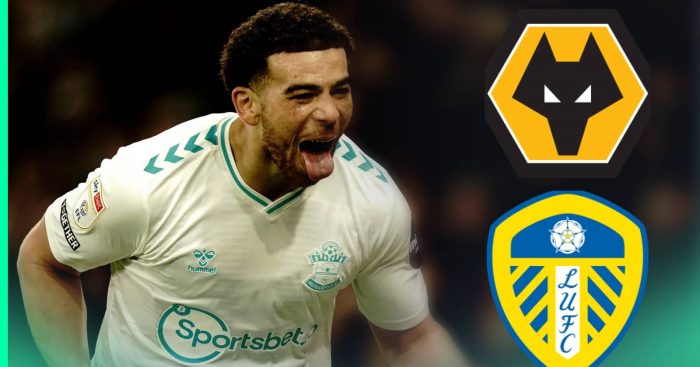 Che Adams News TEAMtalk che-adams-news-teamtalk