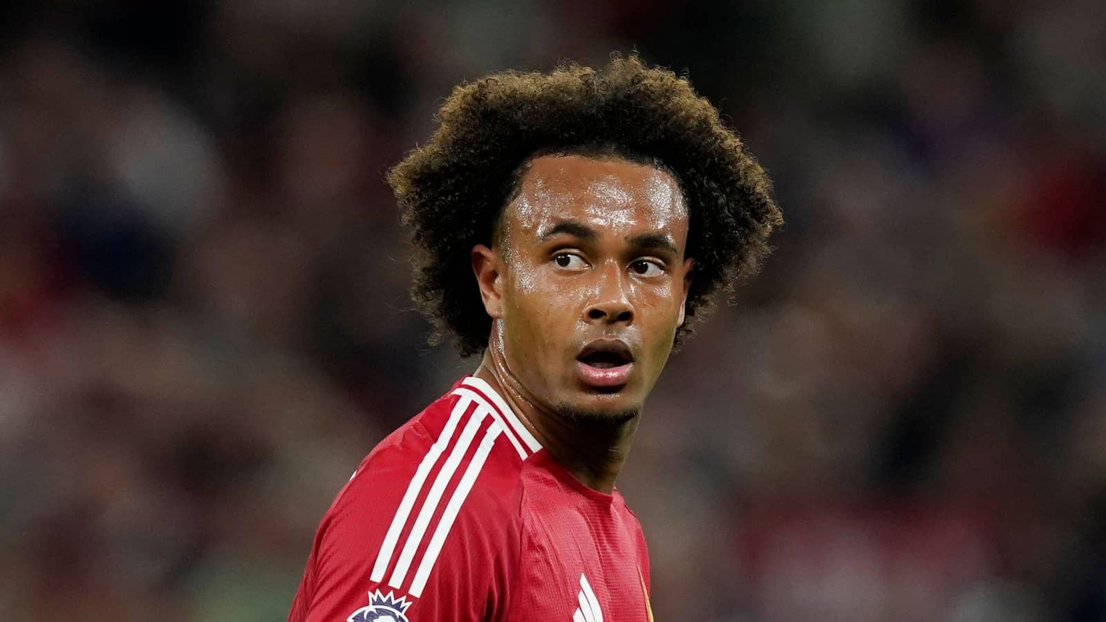 Joshua Zirkzee in action for Man Utd, August 2024
