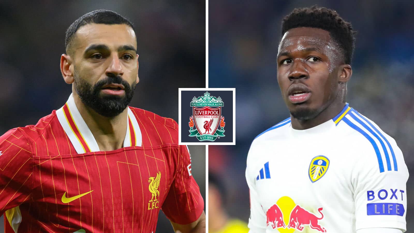 A former Champions League winner doesn't think Wilfried Gnonto is ready to join Liverpool