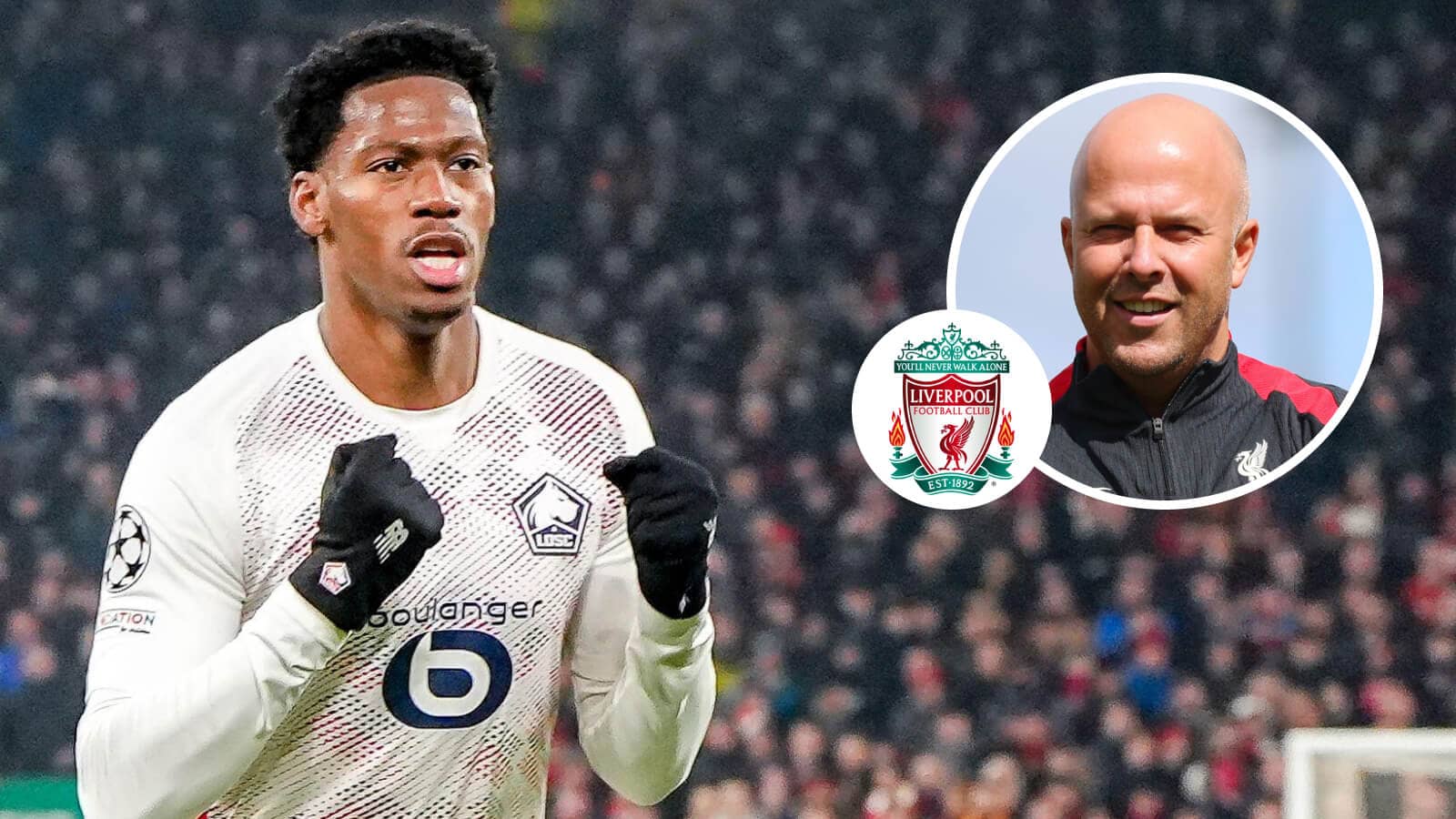 Lille striker Jonathan David next to the Liverpool badge and Arne Slot in a circle - copyright TEAMtalk