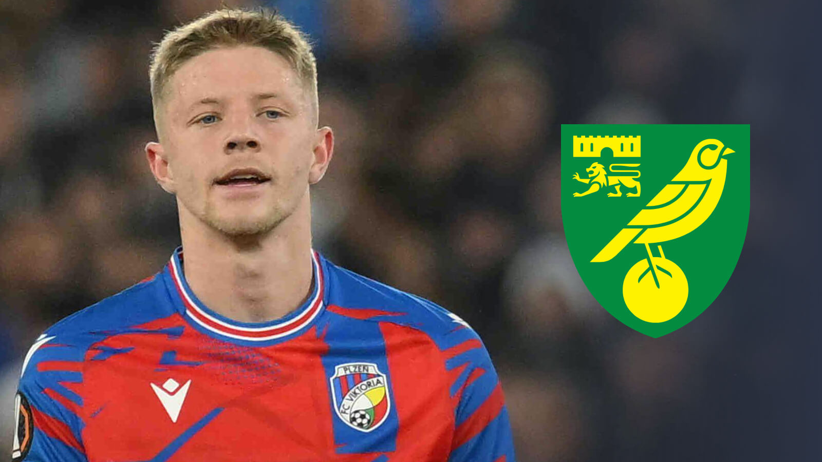 Lukas Cerv, Norwich City badge