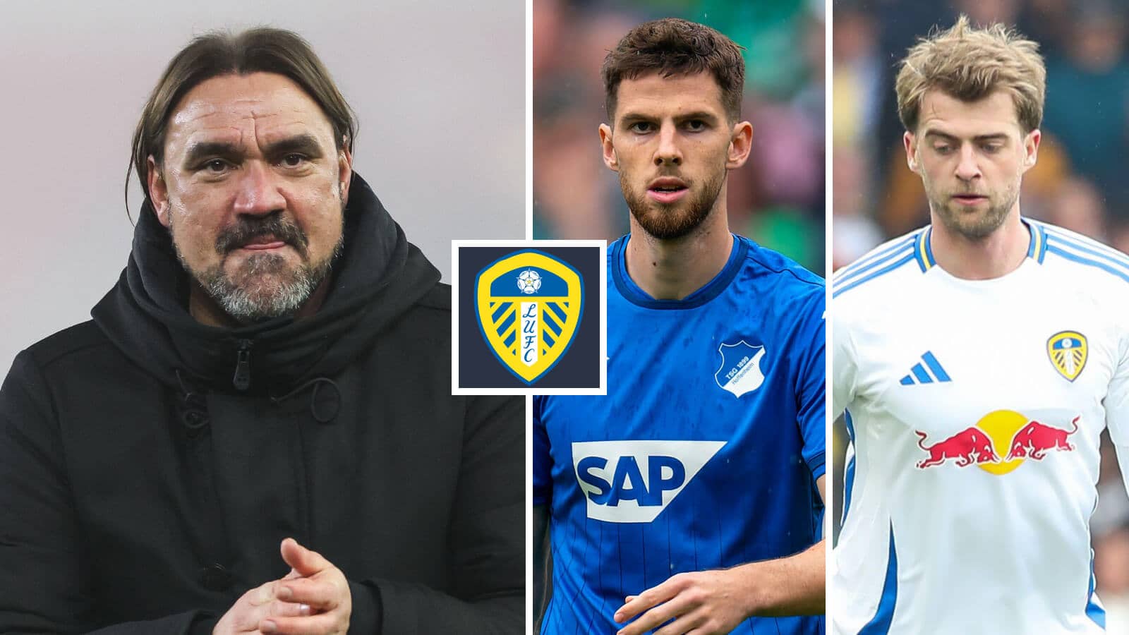 Leeds manager Daniel Farke, Hoffenheim midfielder Anton Stach and Whites striker Patrick Bamford