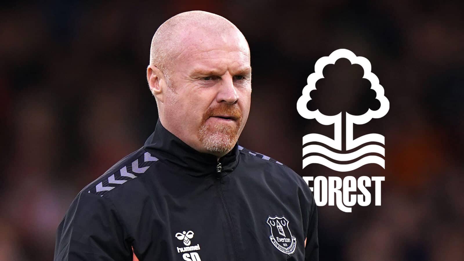 New Nottingham Forest manager Sean Dyche next to the club crest