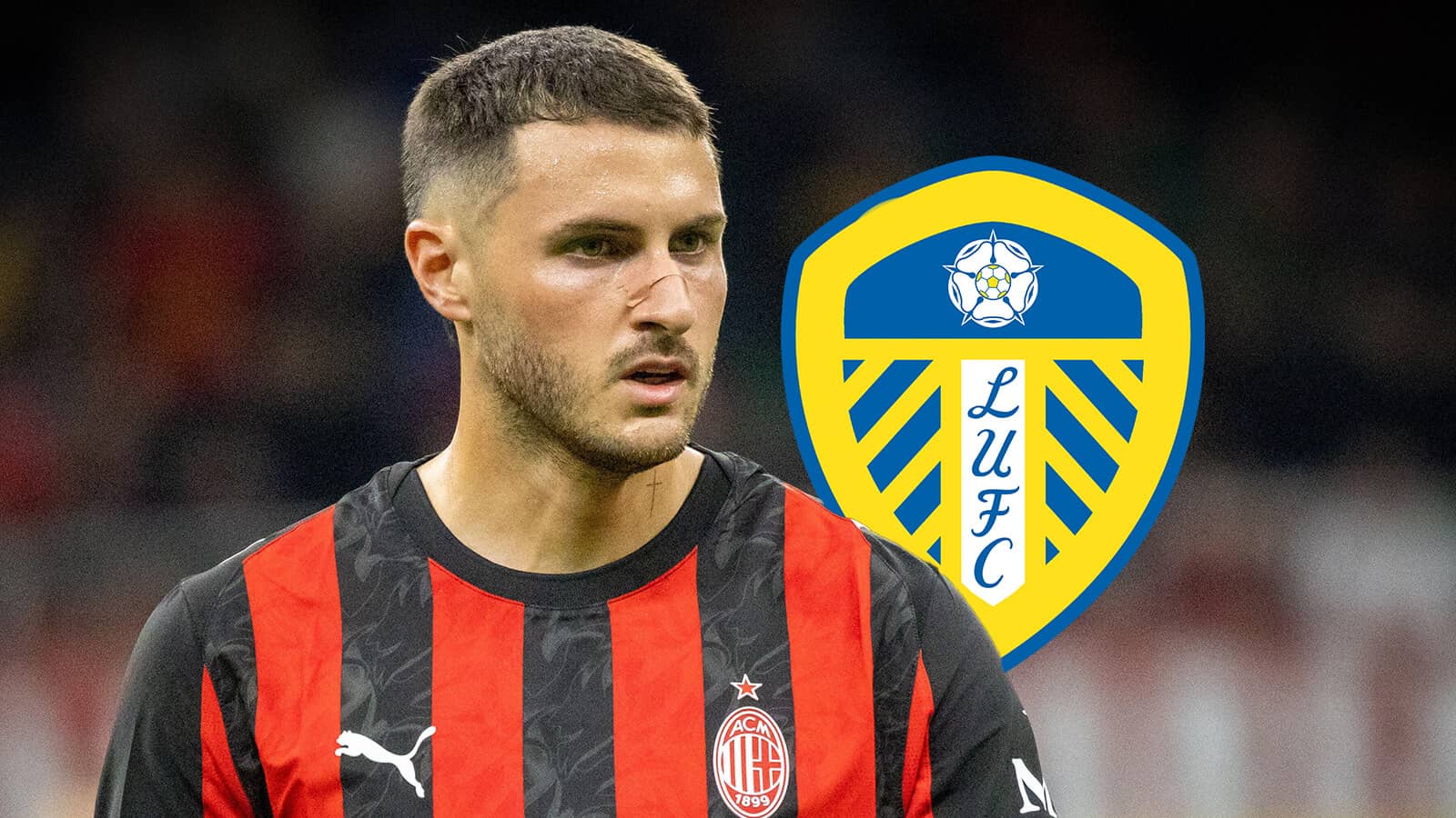 Serene Trungelliti Set For Historic Top 100 Breakthrough: 'it Has Been A Big Goal' Wallpaper Photography Serene Trungelliti Set For Historic Top 100 Breakthrough: 'it Has Been A Big Goal' Wallpaper Photography