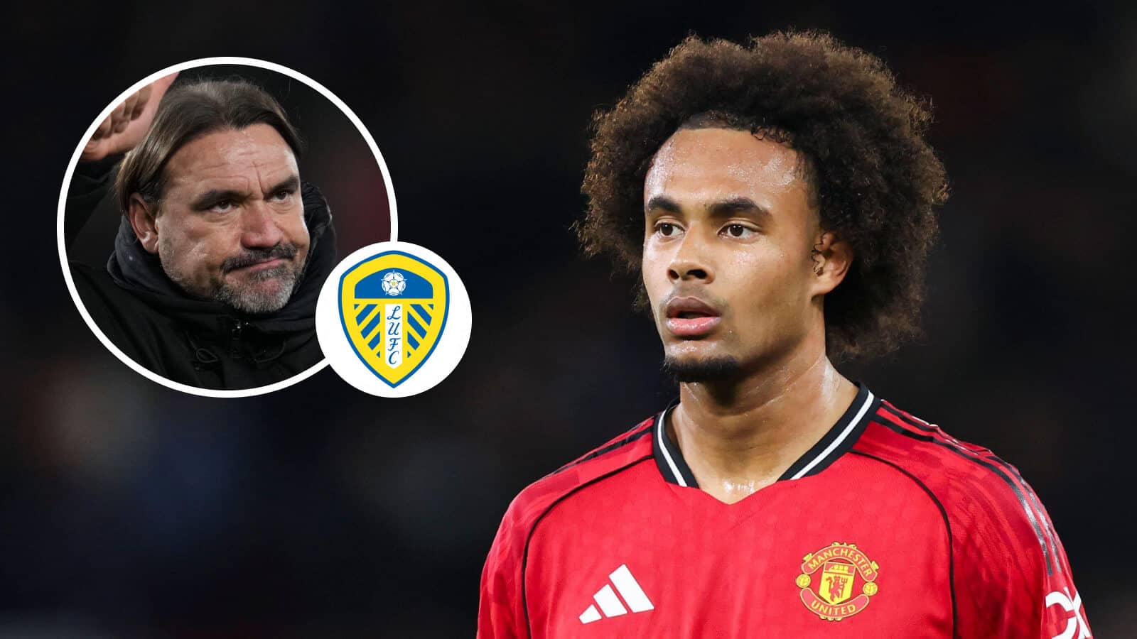 Daniel Farke, Leeds United badge and Joshuz Zirkzee - copyright TEAMtalk
