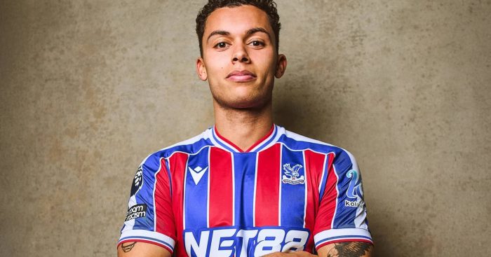 New Crystal Palace player Brennan Johnson