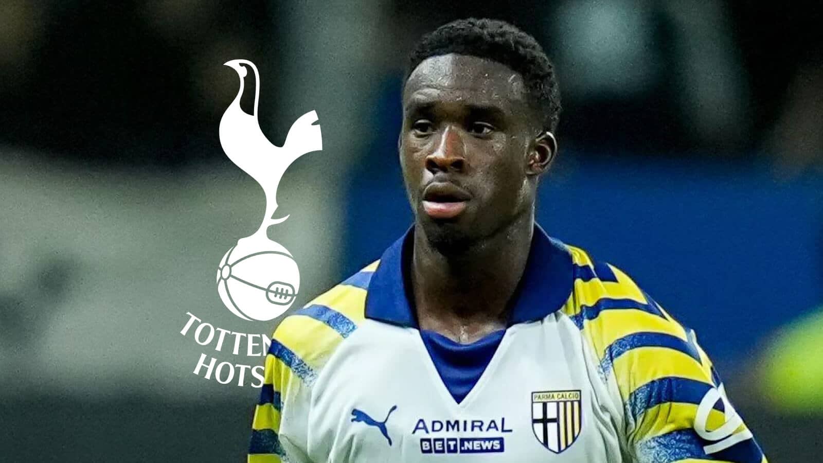 Tottenham storm into race for dominant midfield force as scouts wowed ahead of January strike - TEAMtalk