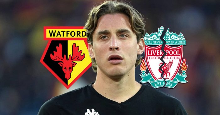 Watford badge, Edoardo Bove and crracked Liverpool badge - copyright TEAMtalk