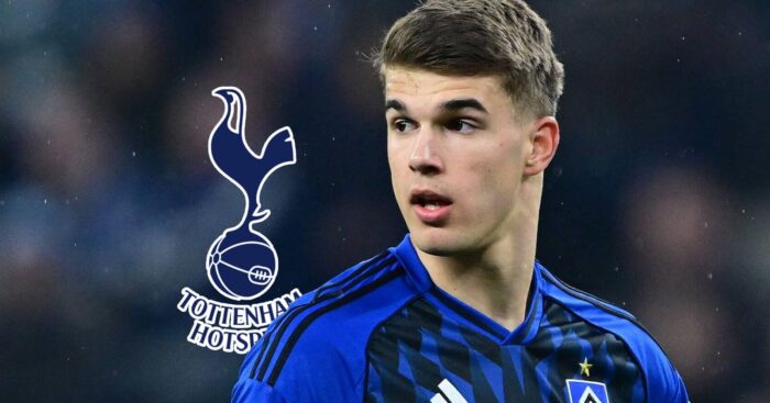 Tottenham star Luka Vuskovic, on loan with Hamburg