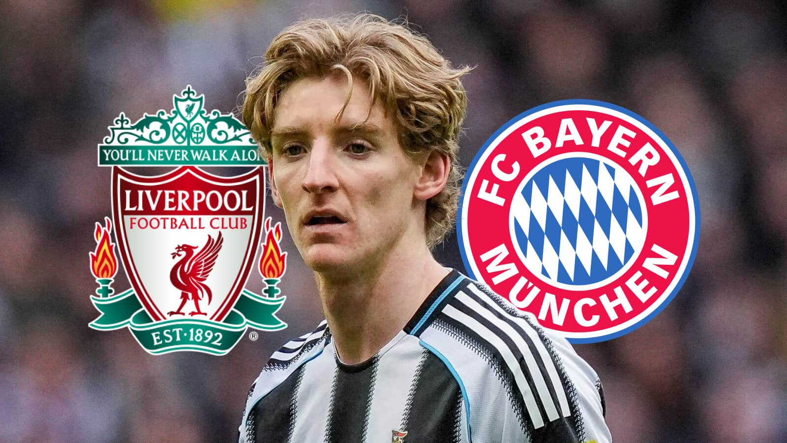 Liverpool badge, Newcastle United winger Anthony Gordon and Bayern Munich badge - copyright TEAMtalk