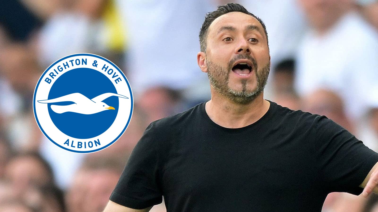 De Zerbi plans triple Brighton raid as Tottenham boss goes big in first transfer window - TEAMtalk