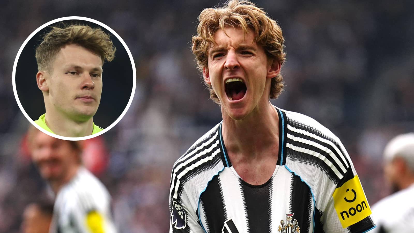 Anthony Gordon, Alexander Nubel, Bayern Munich