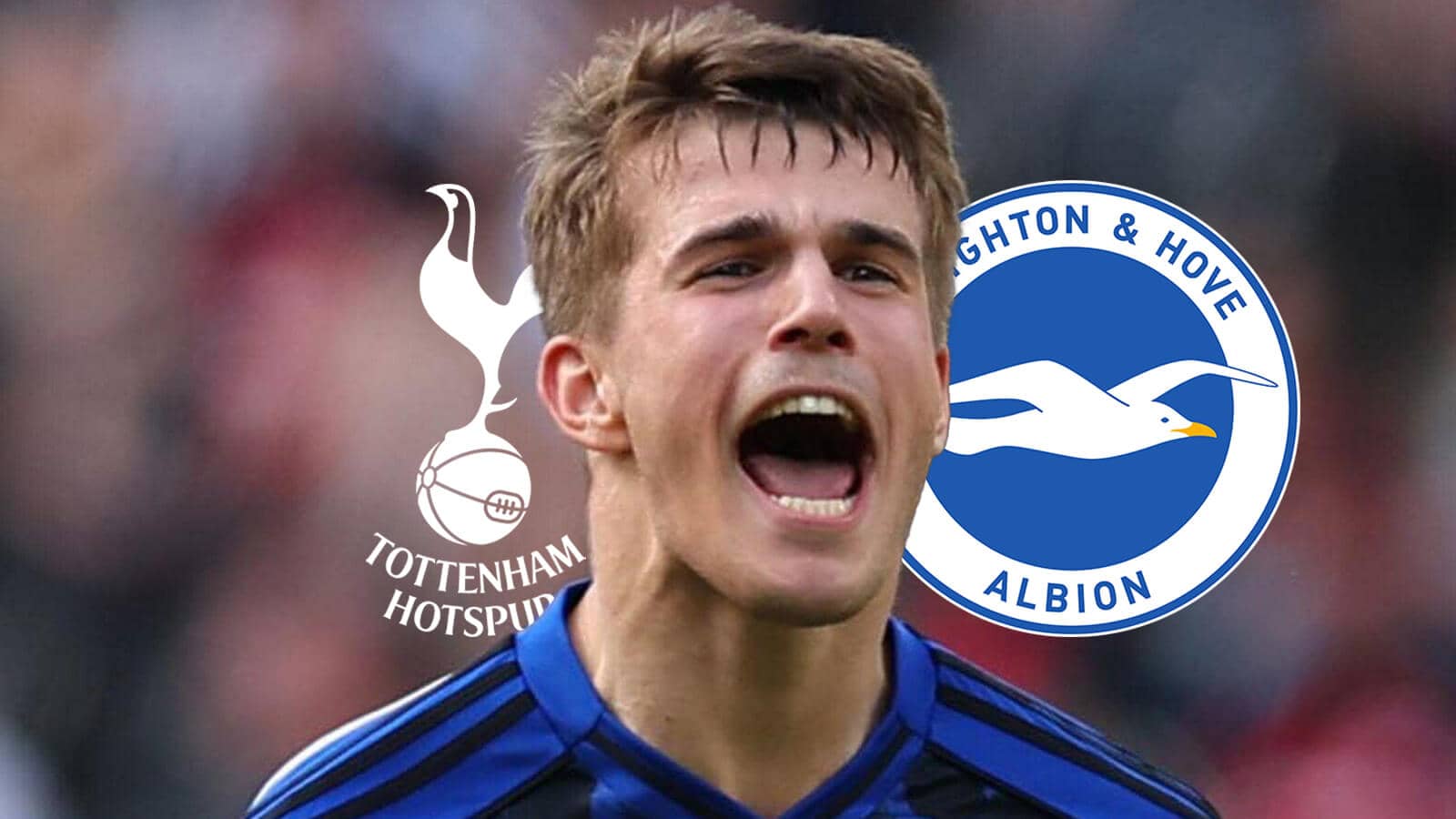 Tottenham Hotspur badge, Luka Vuskovic and Brighton and Hove Albion badge - copyright TEAMtalk