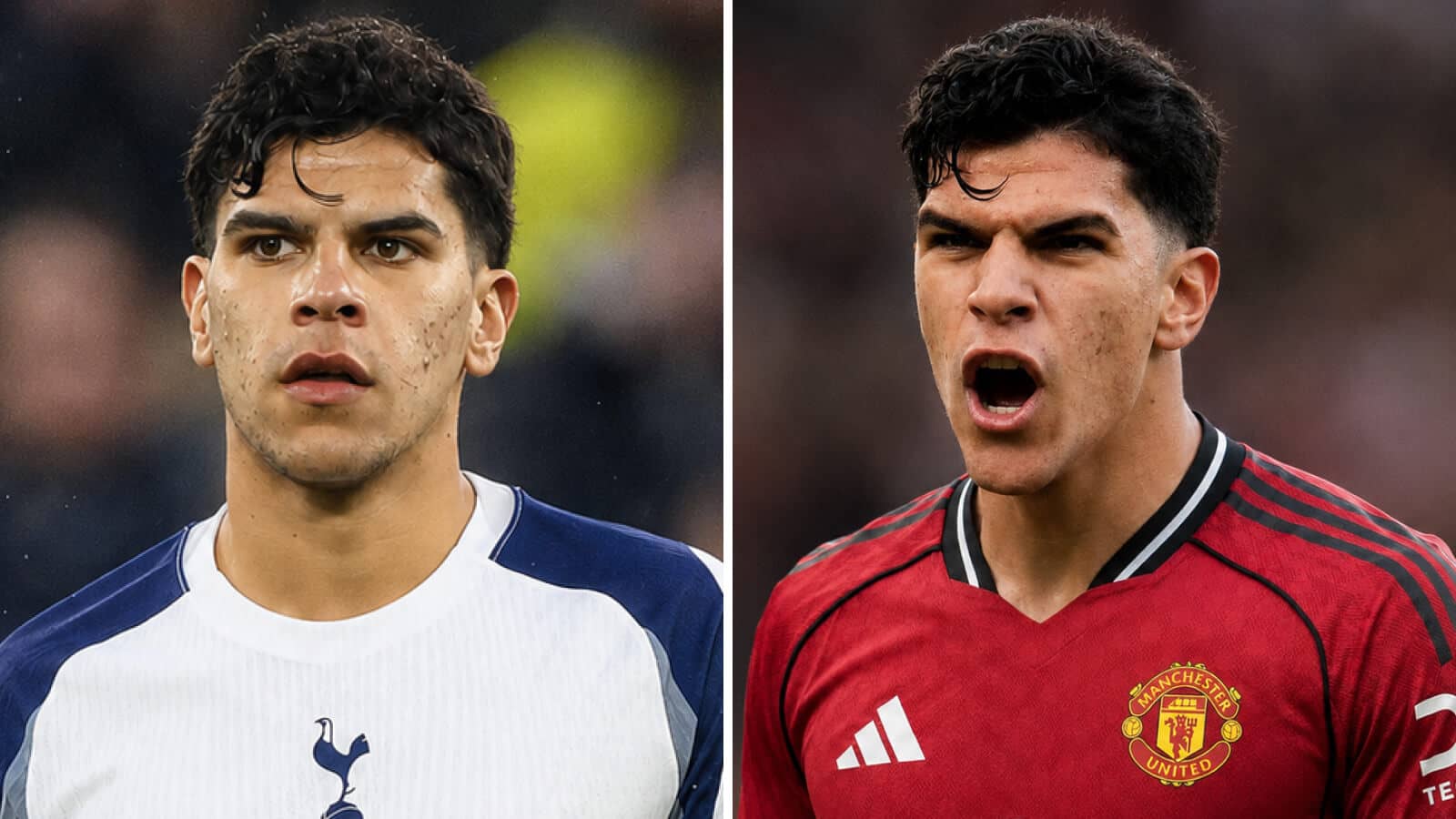 Tottenham explode into Mateus Fernandes transfer race as Man Utd refusal puts move at risk - TEAMtalk