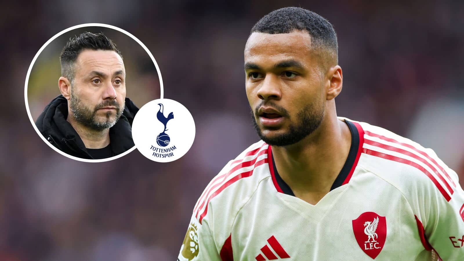 Tottenham talks with Liverpool ON as ‘opportunity’ to sign Gakpo over Man City star emerges - TEAMtalk