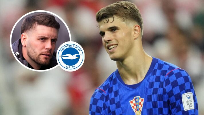 Luka Vuskovic, Fabian Hurzeler, Brighton