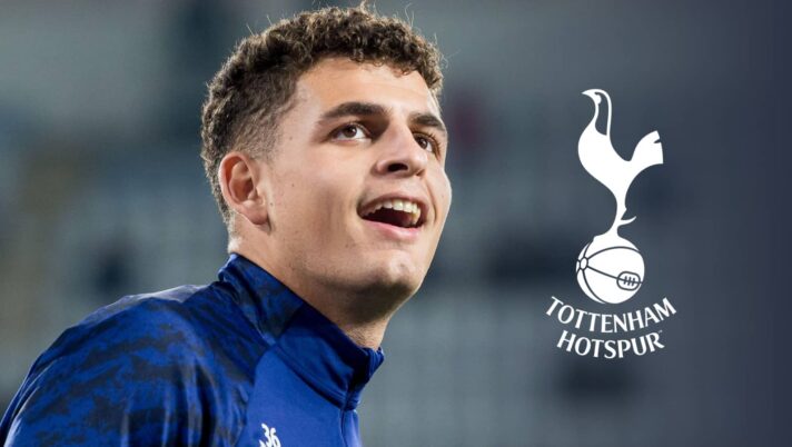 Sergi Dominguez, Tottenham