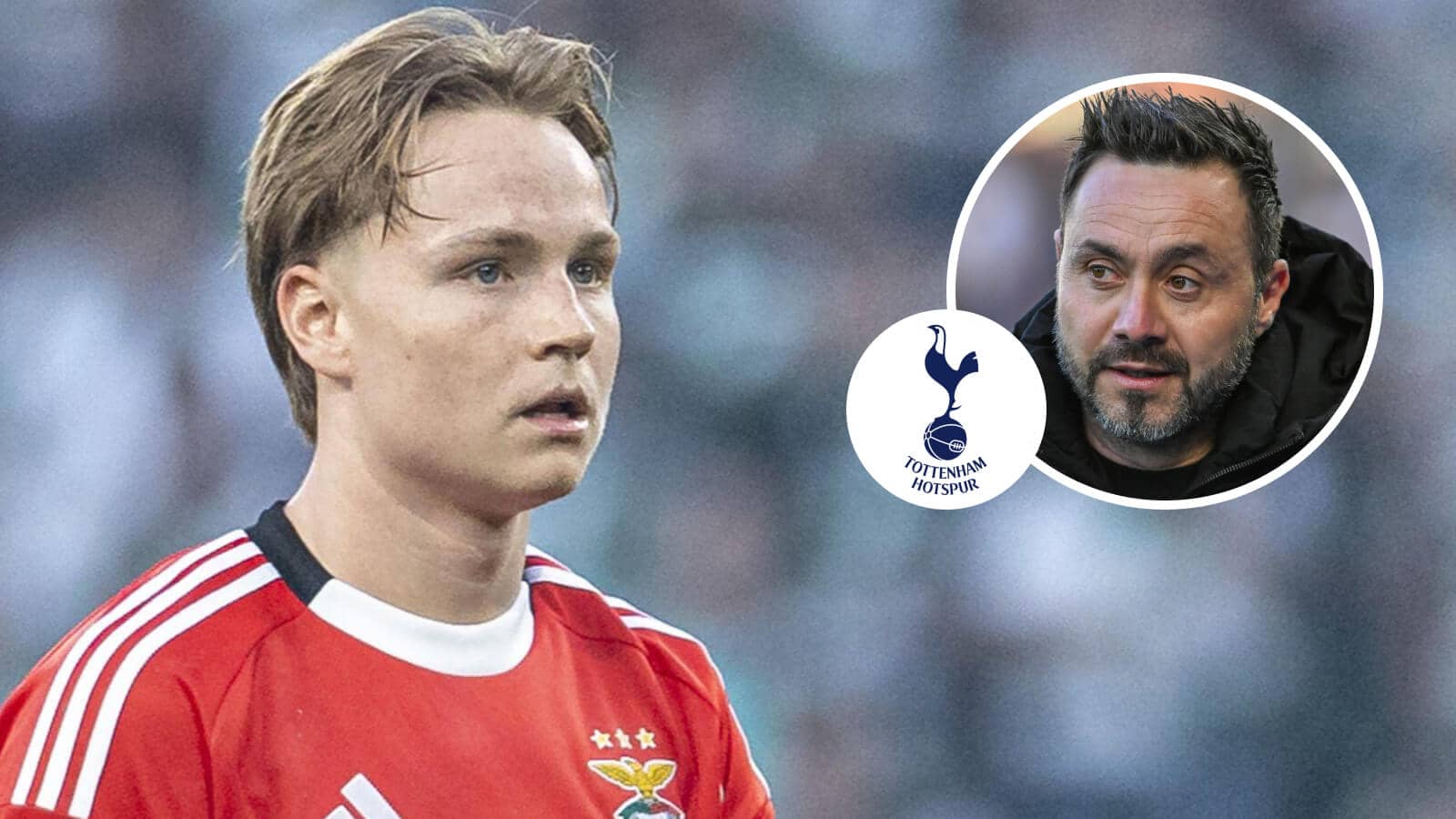 Benfica boss blocking sublime €50m Tottenham swoop for star who fixes immediate De Zerbi problem - TEAMtalk