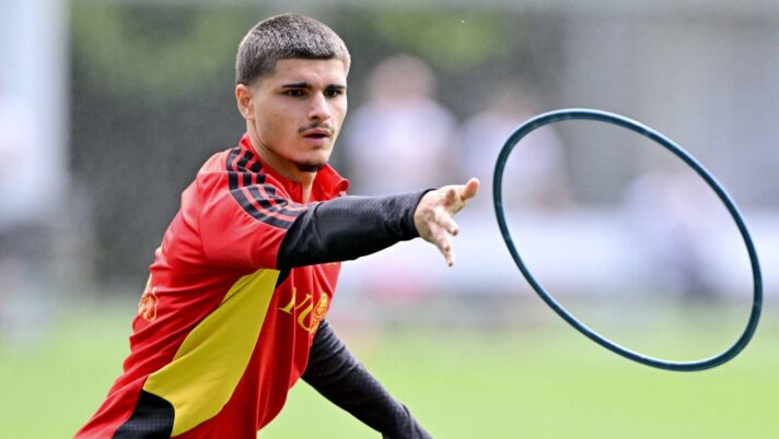 Lille and Belgium winger, Matias Fernandez-Pardo