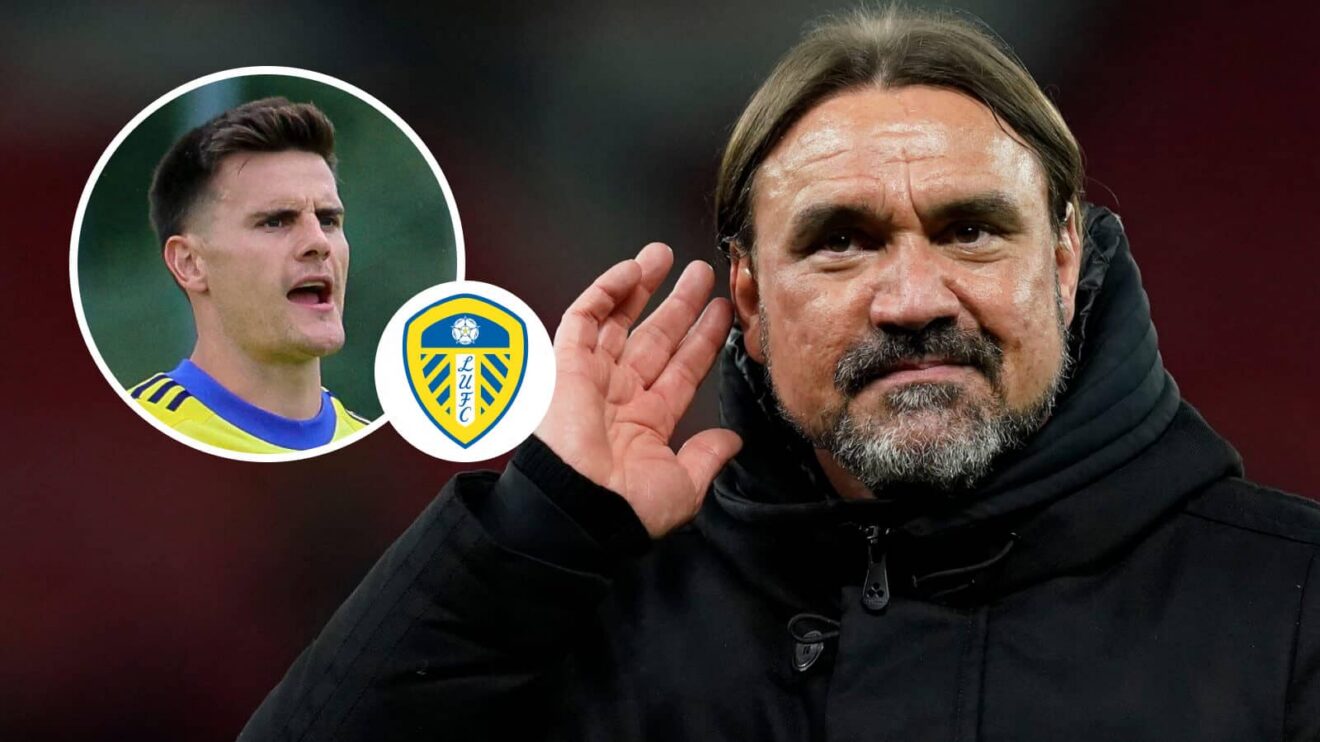 Leeds boss Daniel Farke hopes to make Michael Zetterer, inset next to the Leeds United badge, summer signing number five