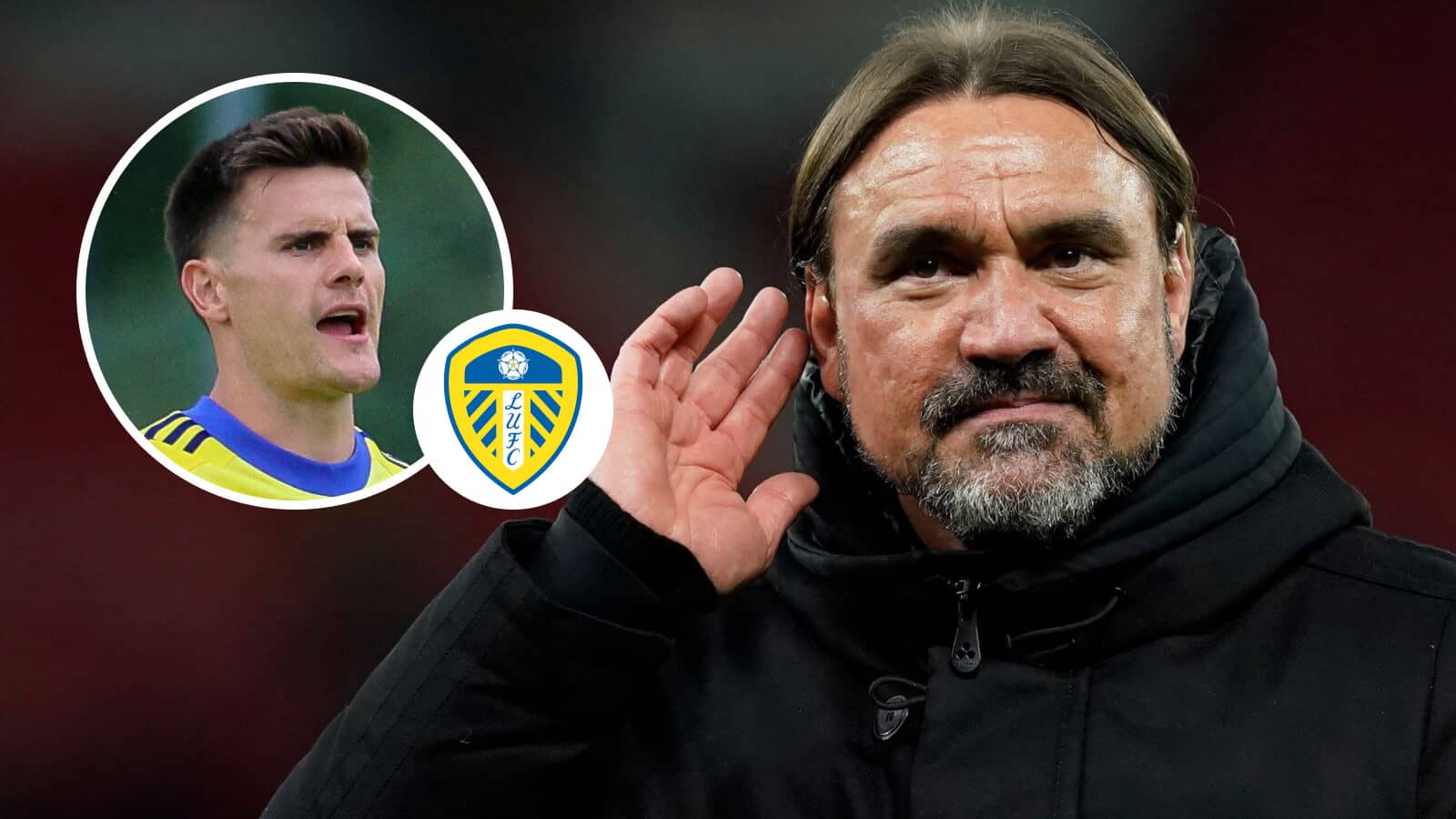 Leeds boss Daniel Farke hopes to make Michael Zetterer, inset next to the Leeds United badge, summer signing number five