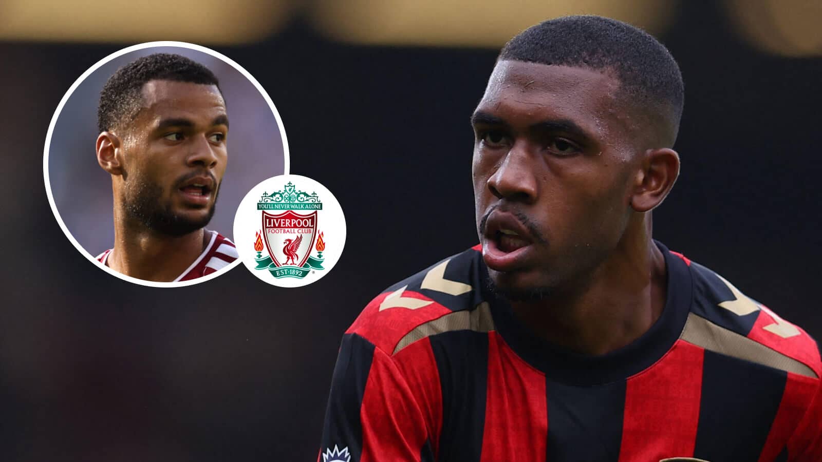 Cody Gakpo, Liverpool badge and Bournemouth winger Rayan - copyright TEAMtalk