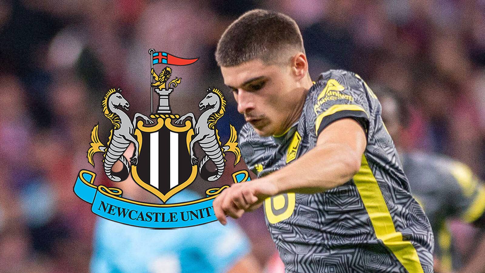 Former Lille star Matias Ferndez-Pardo next to the Newcastle United badge