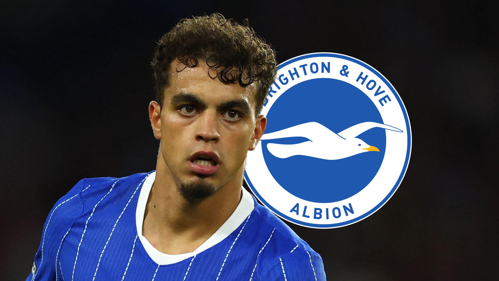 Brighton star Yasin Ayari