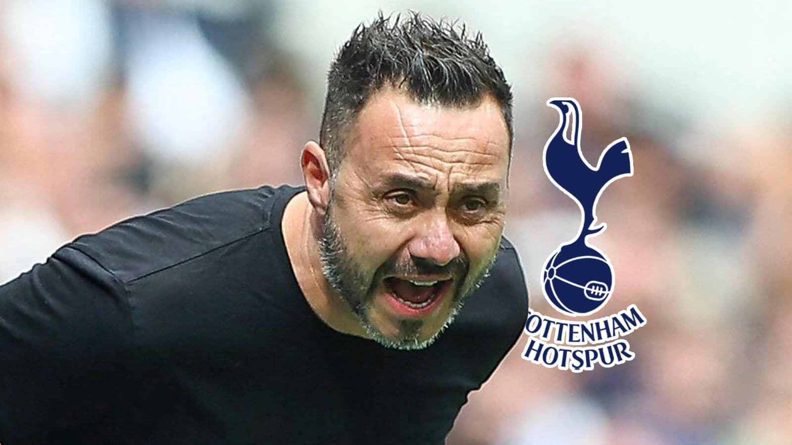 Tottenham Hotspur manager Roberto de Zerbi next to the club badge