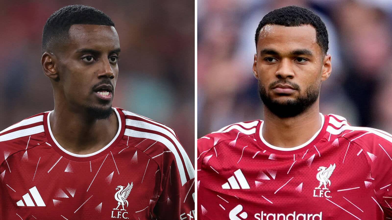 Alexander Isak. Cody Gakpo Liverpool