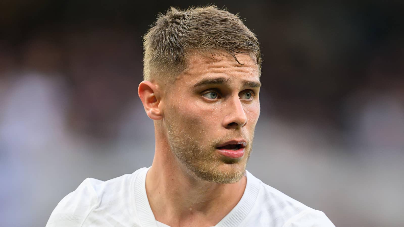 Tottenham defender Micky van de Ven