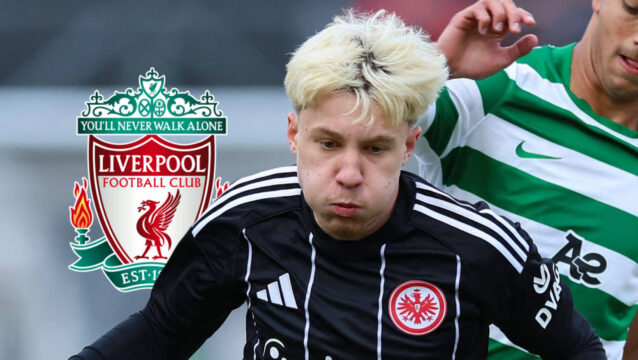 Niko Ilicevic, Liverpool