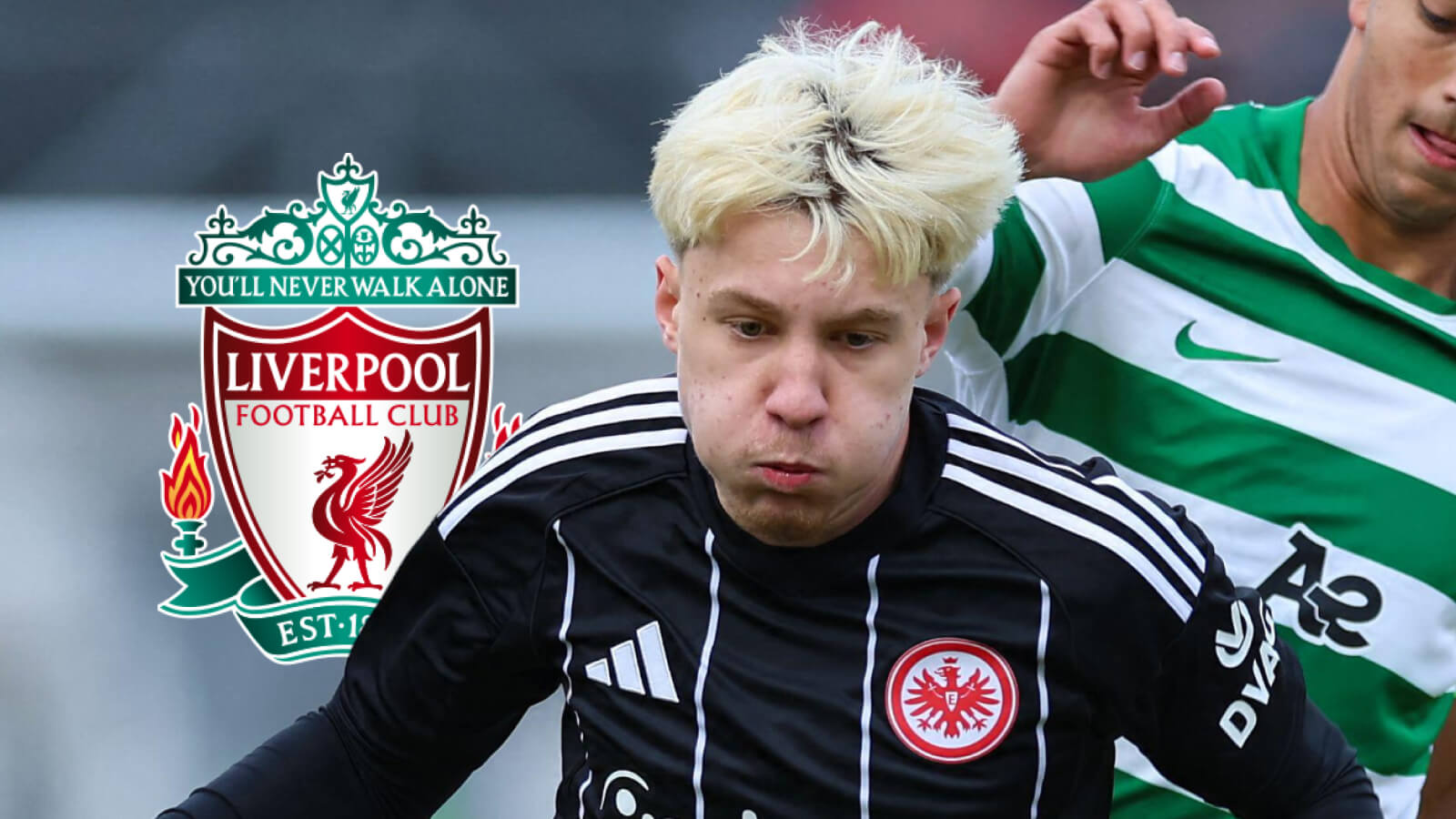 Niko Ilicevic, Liverpool