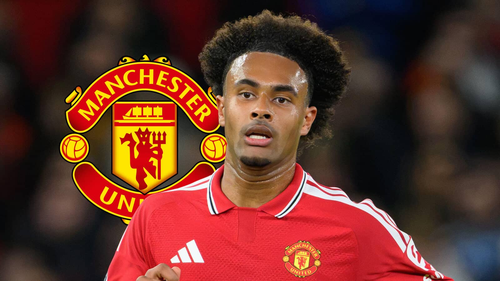 Manchester United badge and Manchester United forward Joshua Zirkzee - copyright TEAMtalk